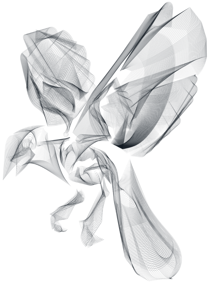 Vogel mit ausgebreiteten Flügeln illustrierte Skelettansicht unter Röntgenstrahlung