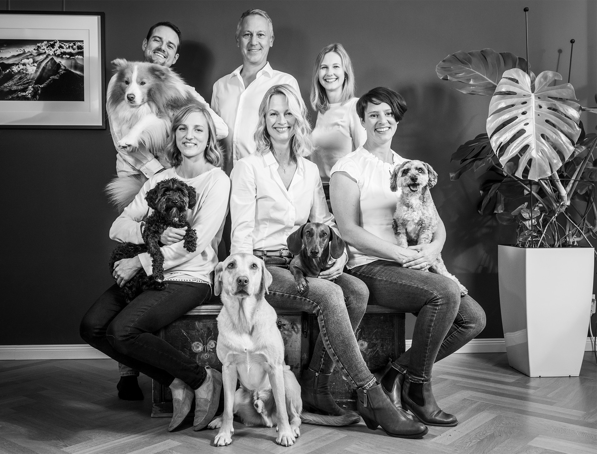 Gruppenbild des Vetradiologie-Teams mit Haustieren