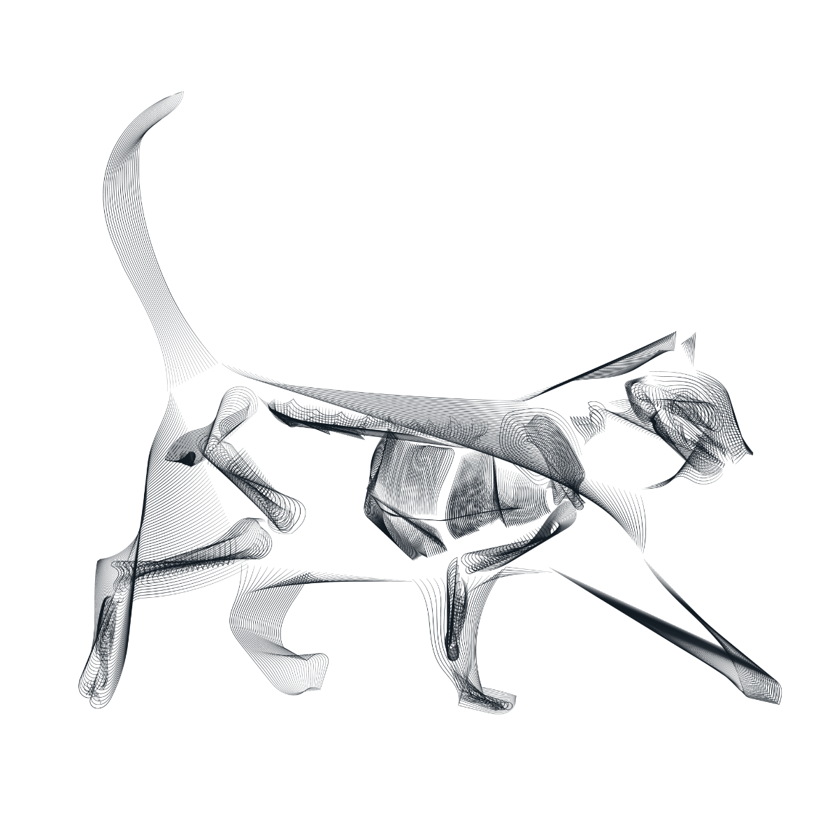 Katze illustrierte Skelettansicht unter Röntgenstrahlung